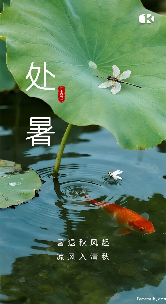 处暑至，习俗趣：暑去凉来话传统